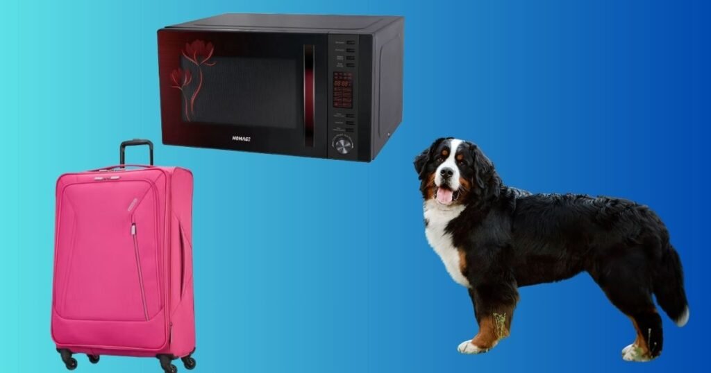 Things That Weigh About 30 Kg