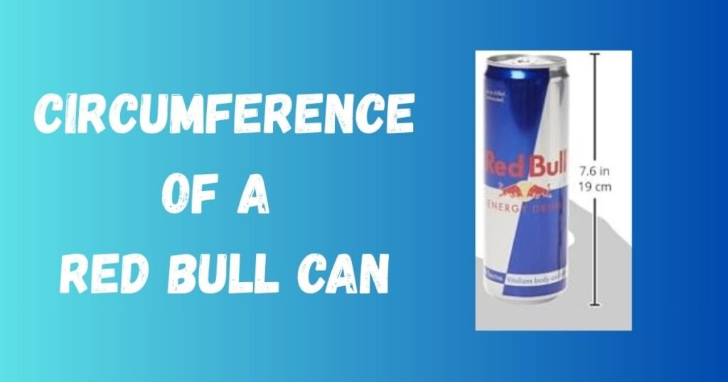 circumference of a red bull can