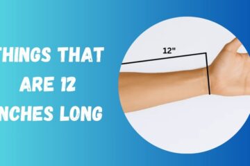 12 Inches