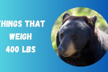 400 Pounds