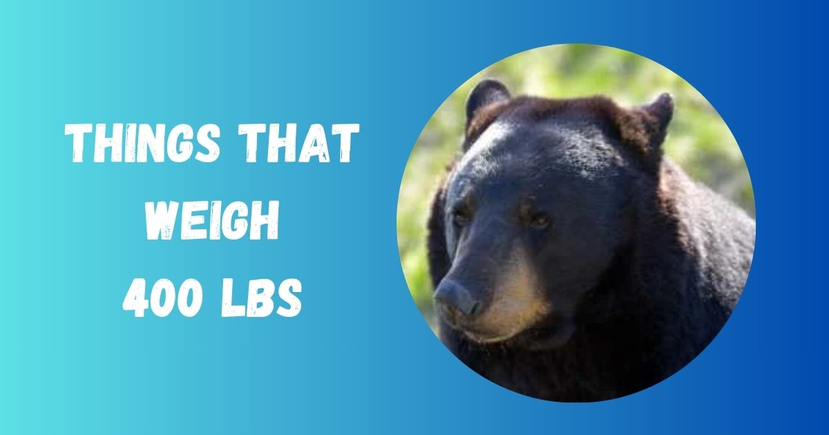 400 Pounds
