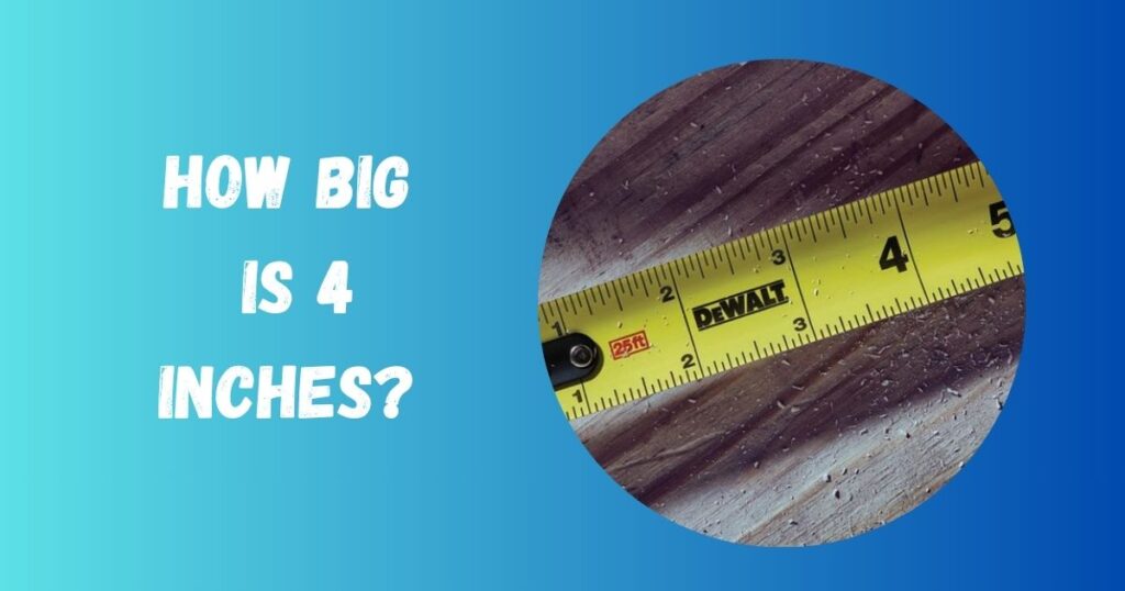 How Big is 4 Inches