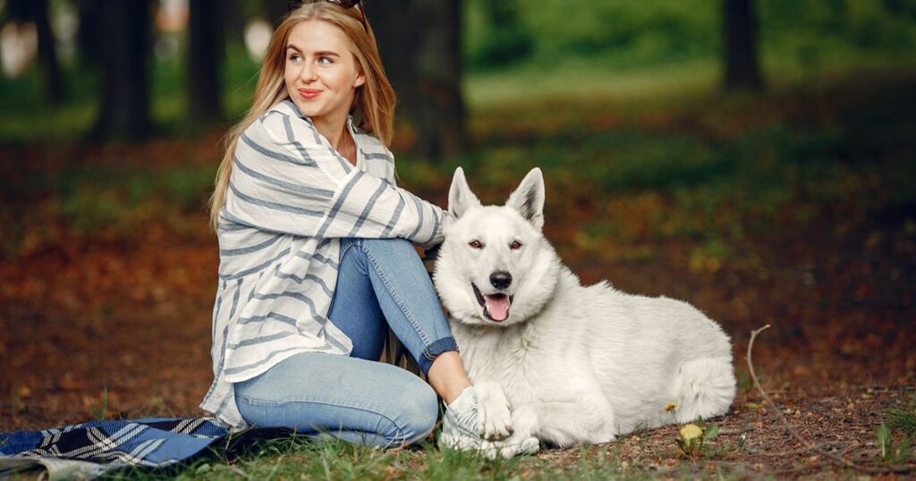 20 kg Siberian Husky