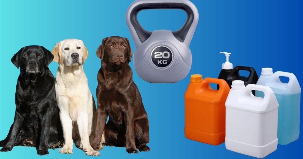 Things That Weigh 20 Kg