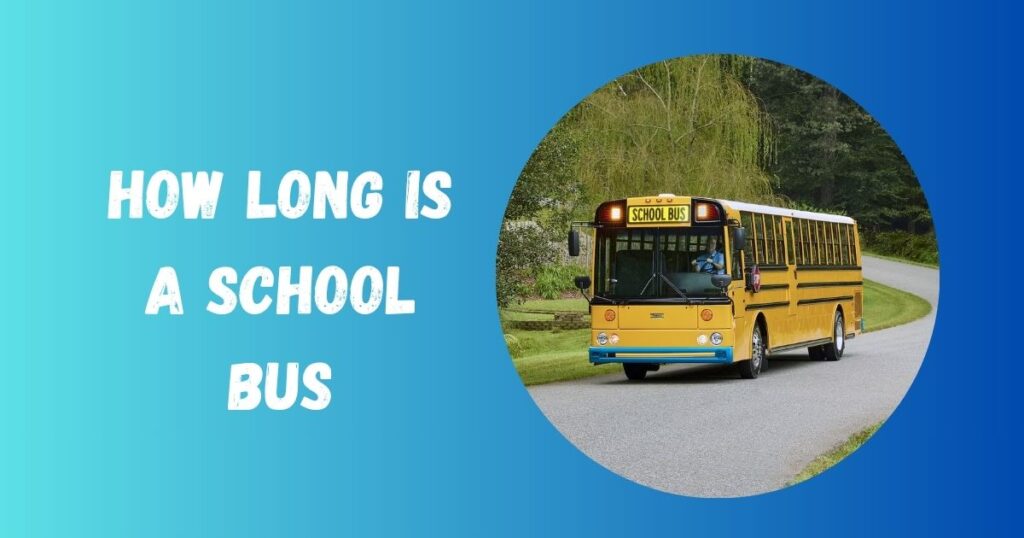how long is a school bus