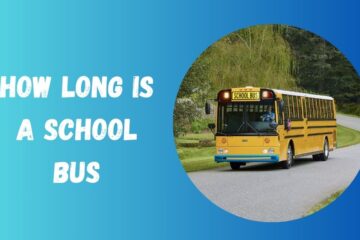 how long is a school bus