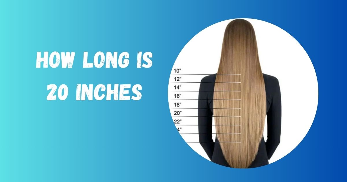 How Long is 20 Inches