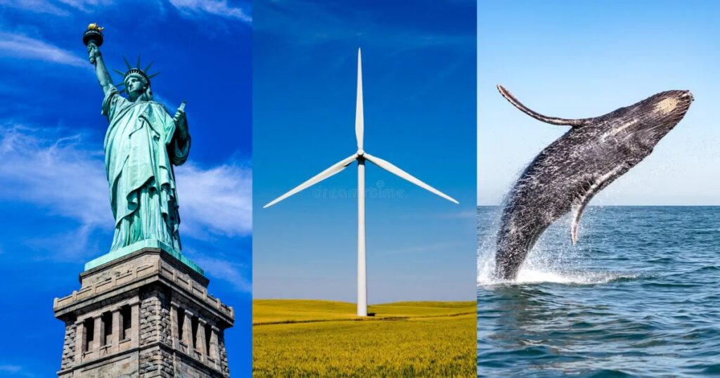 Things That Are 300 Feet Tall