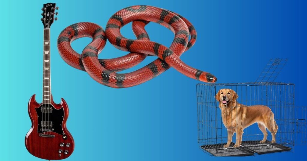 Things That Are 40 Inches Long