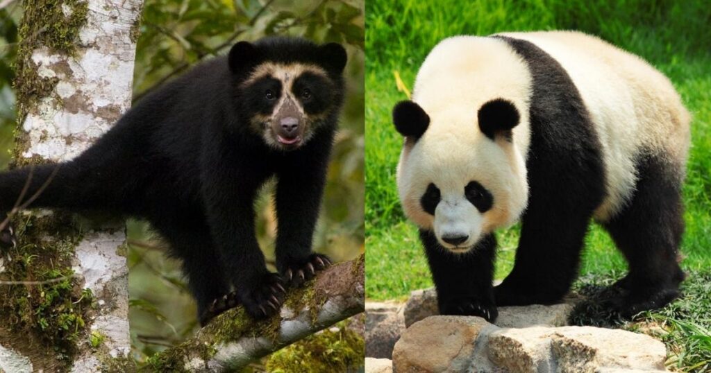 Things That Weigh 100 Kg