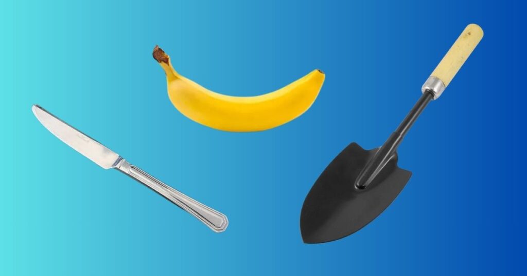 Things That are 7 inches 