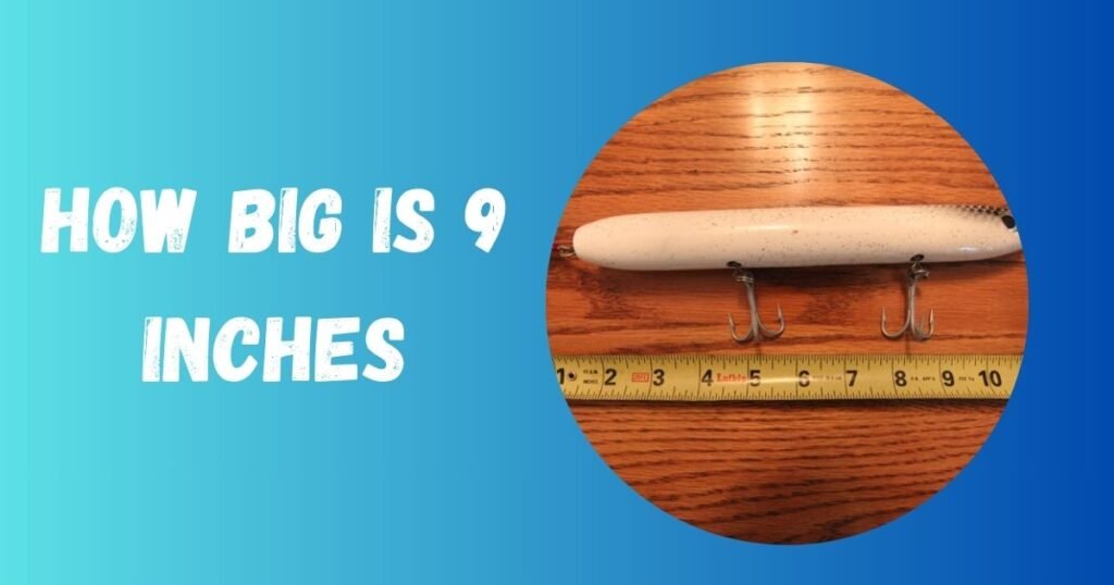 How Big Is 9 Inches