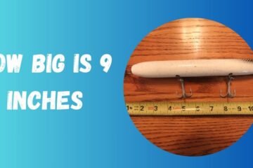 How Big Is 9 Inches